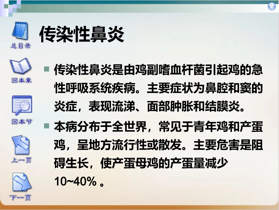 传染性鼻炎实用PPT_第1页