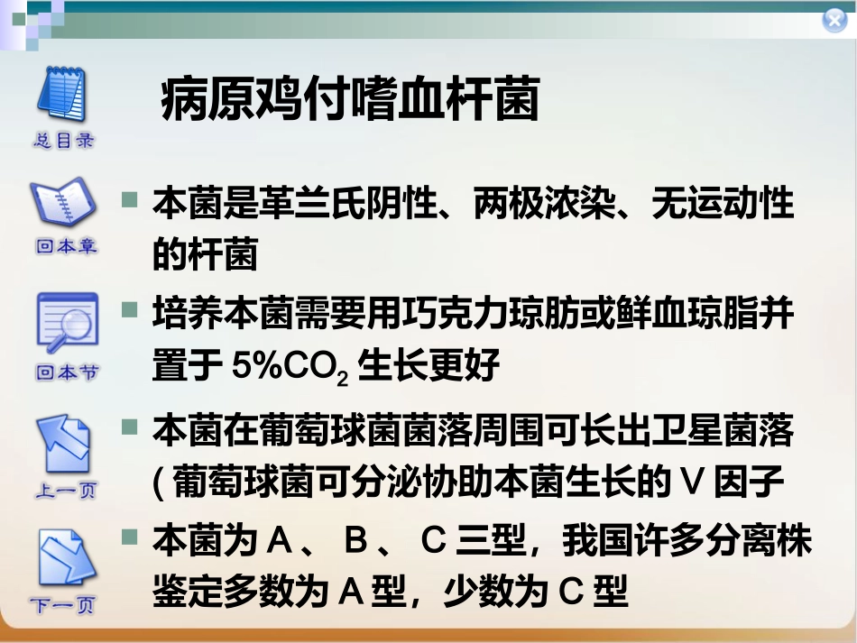 传染性鼻炎实用PPT_第2页