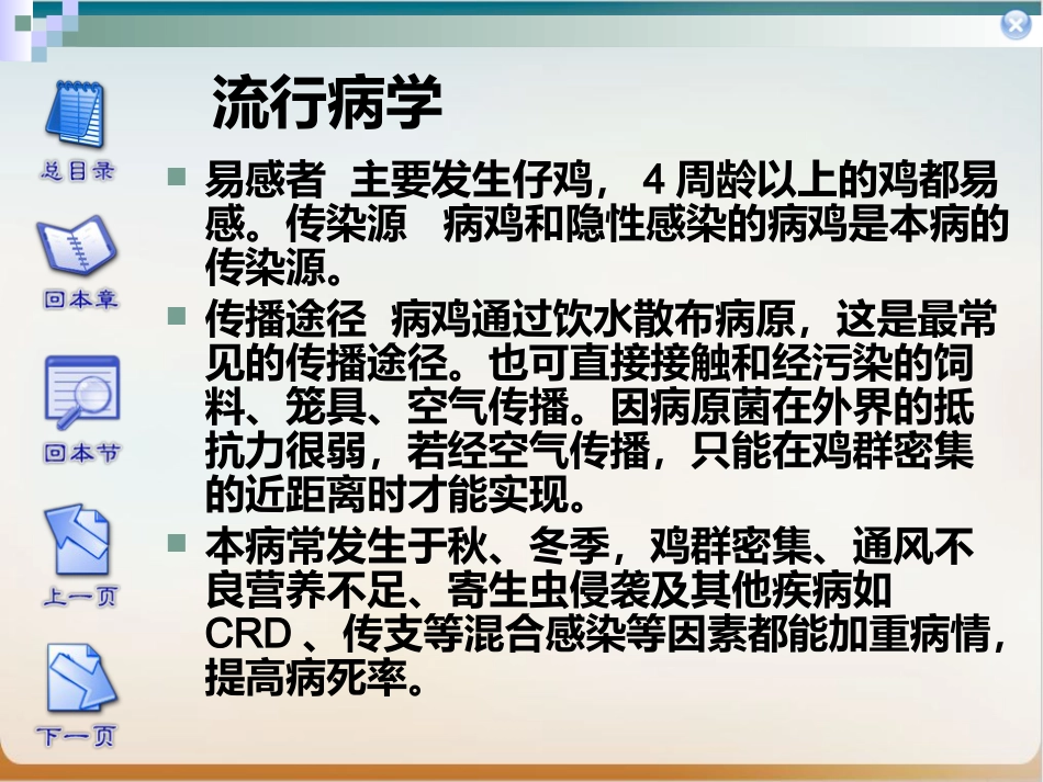传染性鼻炎实用PPT_第4页