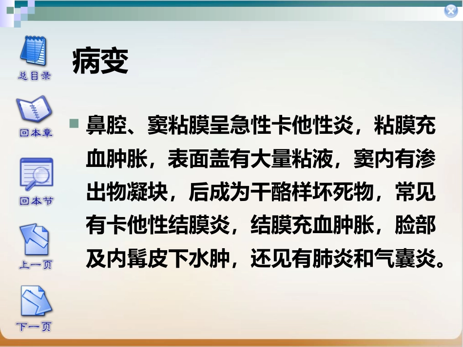 传染性鼻炎实用PPT_第9页