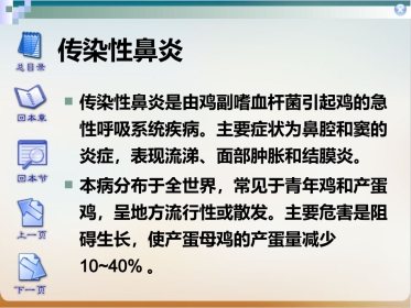 传染性鼻炎实用PPT