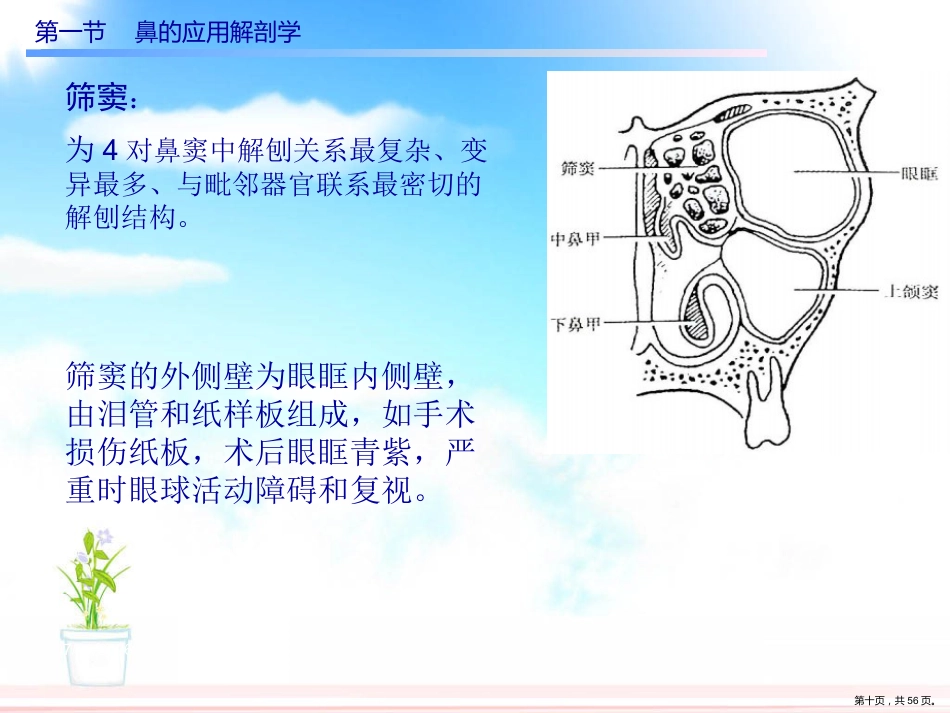 慢性鼻窦炎课件_第10页