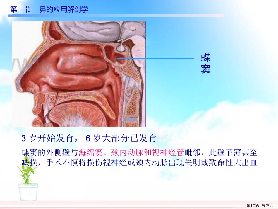 慢性鼻窦炎课件_第12页
