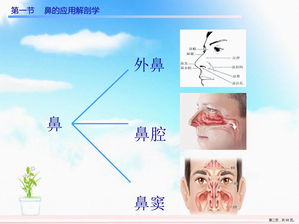 慢性鼻窦炎课件_第2页