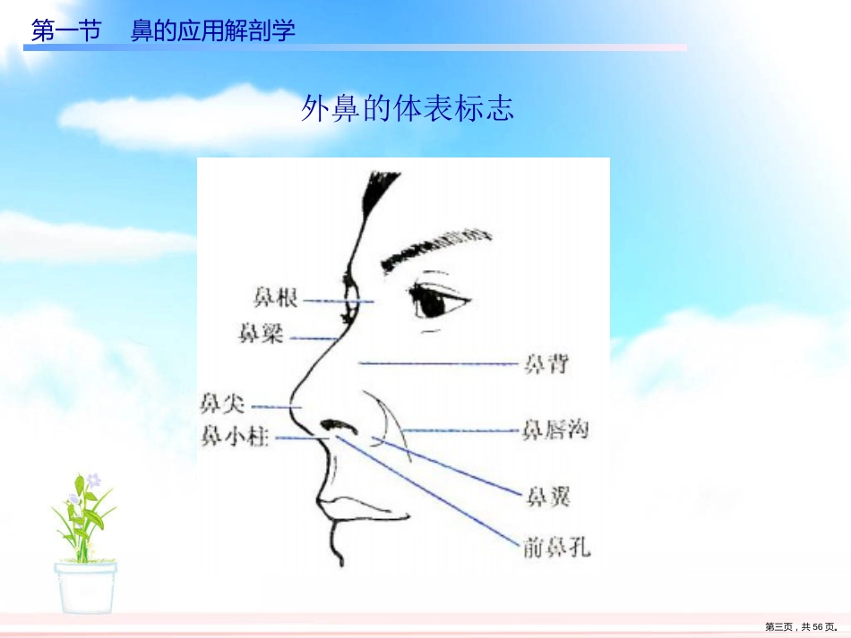 慢性鼻窦炎课件_第3页
