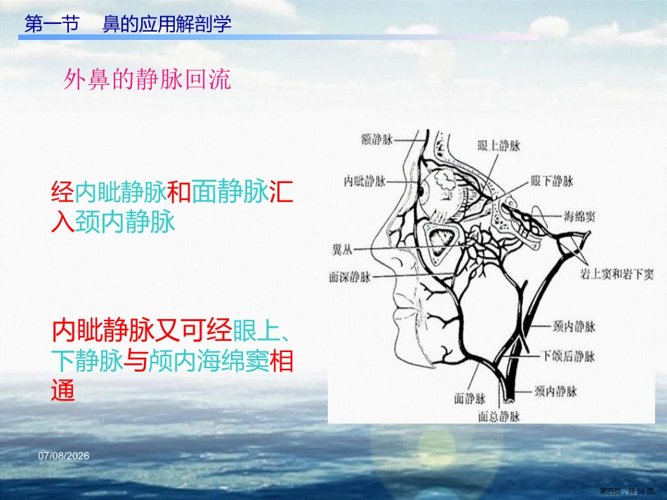 慢性鼻窦炎课件_第4页