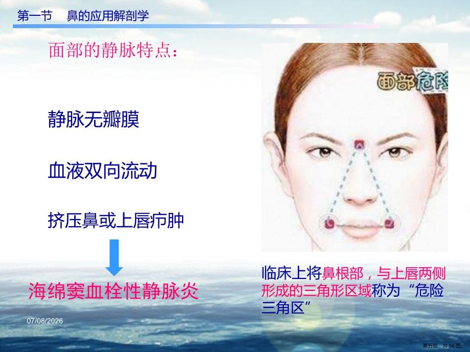 慢性鼻窦炎课件_第5页