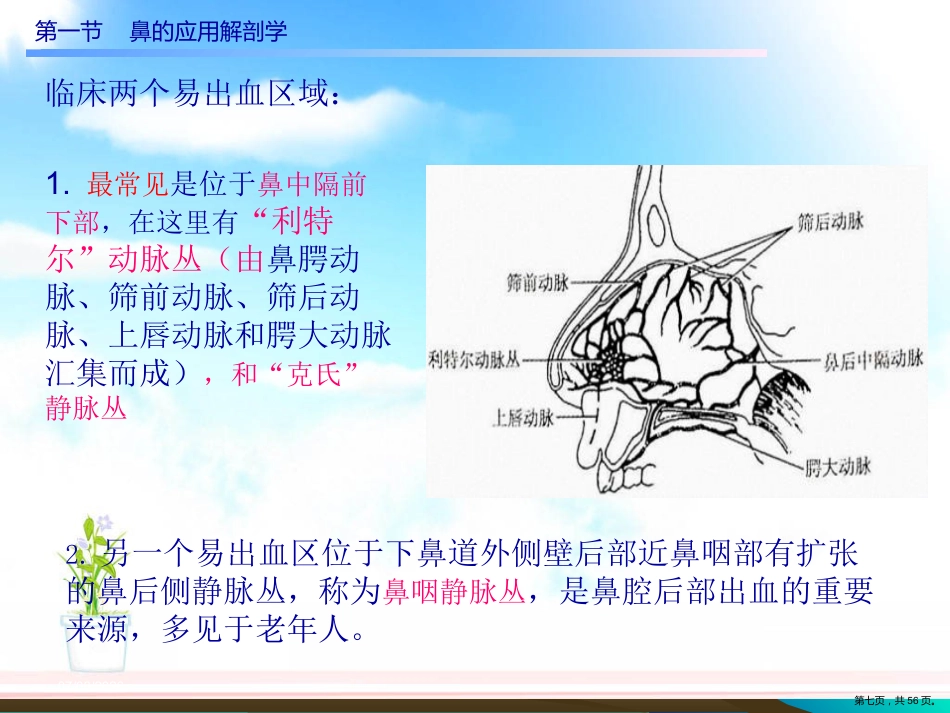 慢性鼻窦炎课件_第7页