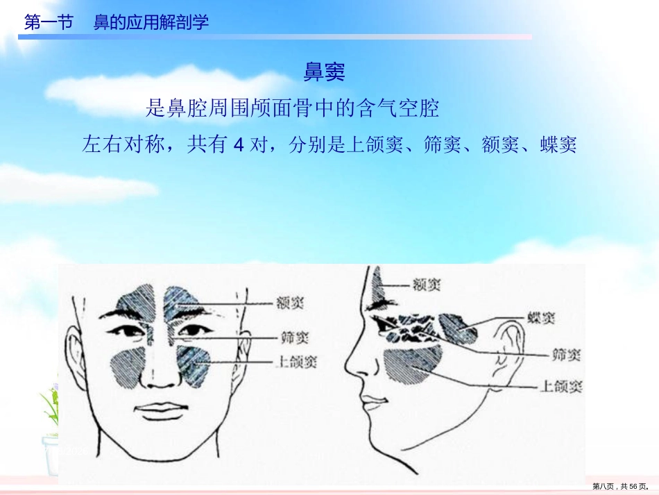 慢性鼻窦炎课件_第8页