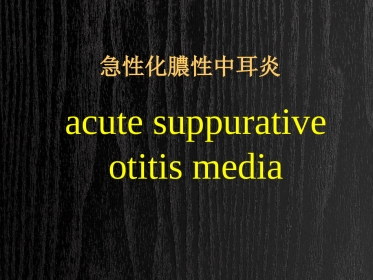 急慢性化脓性中耳炎及并发症PPT