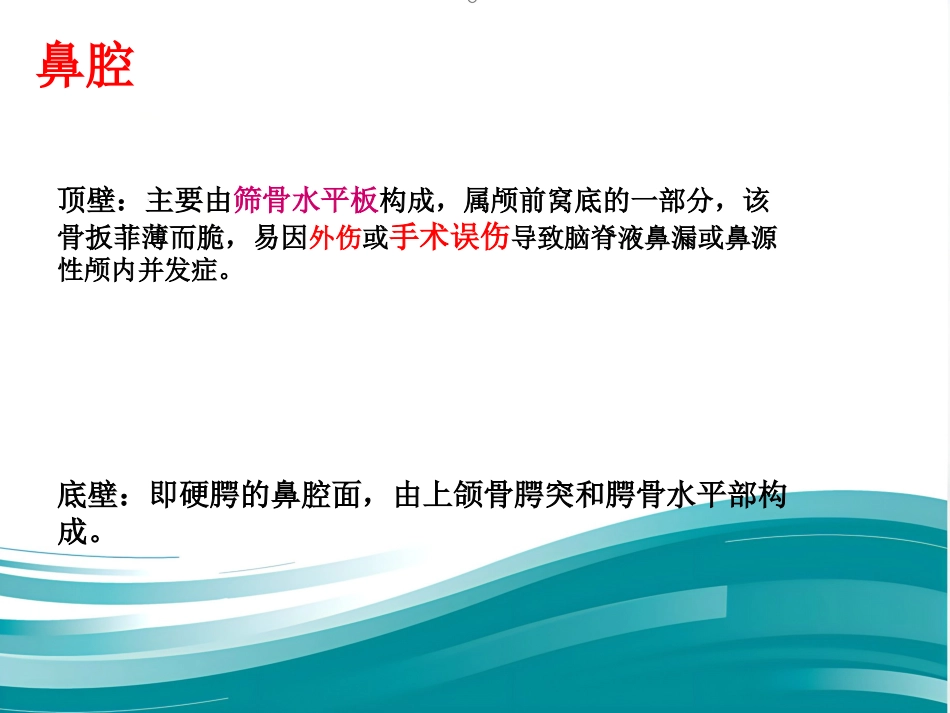 耳鼻咽喉的应用解剖生理_第10页