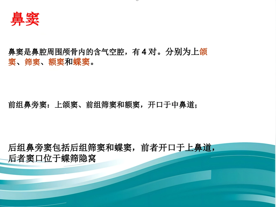 耳鼻咽喉的应用解剖生理_第11页