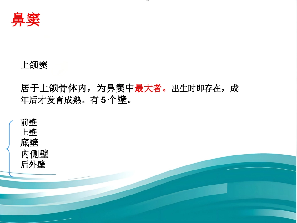 耳鼻咽喉的应用解剖生理_第12页