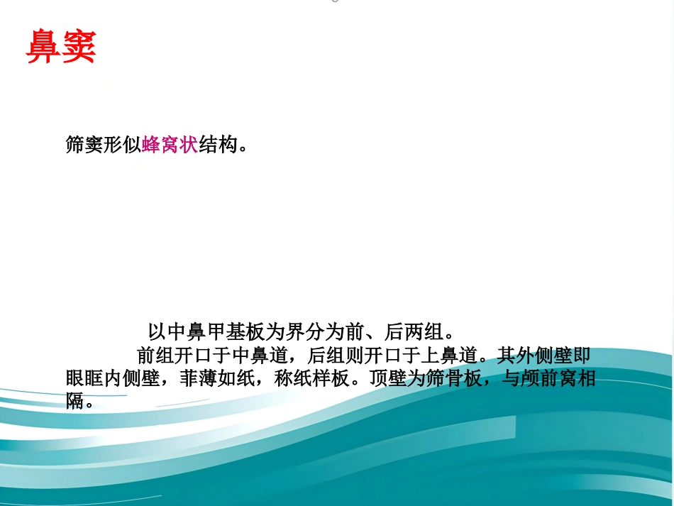 耳鼻咽喉的应用解剖生理_第13页
