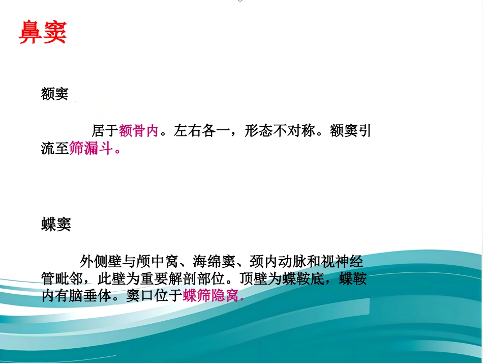 耳鼻咽喉的应用解剖生理_第14页