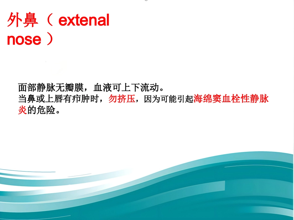 耳鼻咽喉的应用解剖生理_第5页