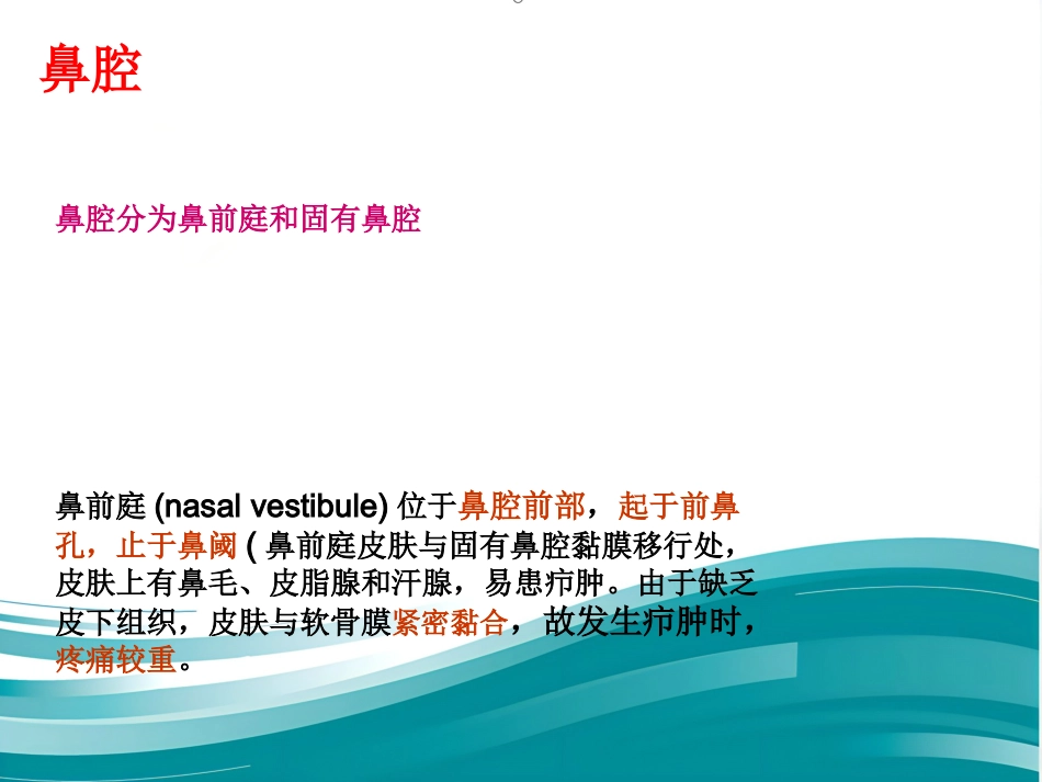 耳鼻咽喉的应用解剖生理_第6页