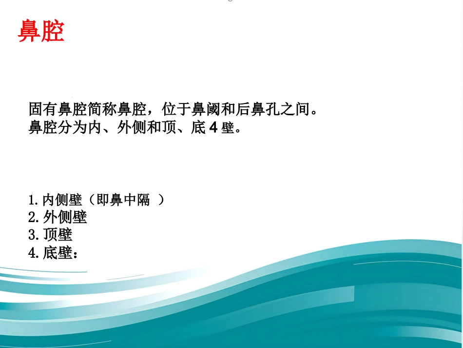 耳鼻咽喉的应用解剖生理_第7页