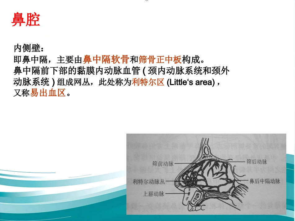 耳鼻咽喉的应用解剖生理_第8页