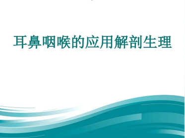 耳鼻咽喉的应用解剖生理