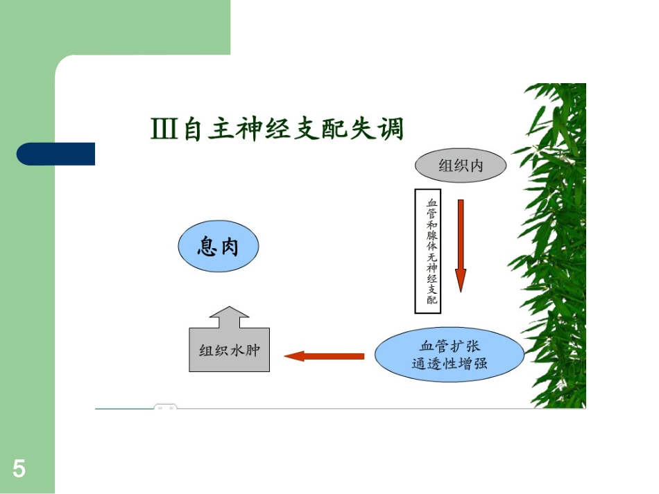 鼻息肉护理ppt课件_第5页