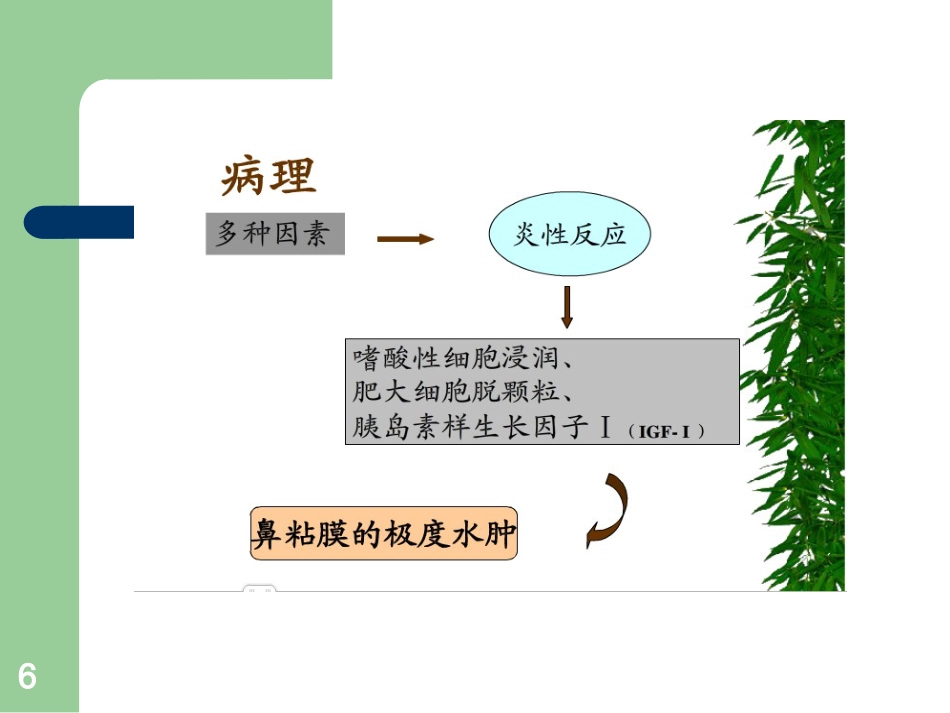 鼻息肉护理ppt课件_第6页