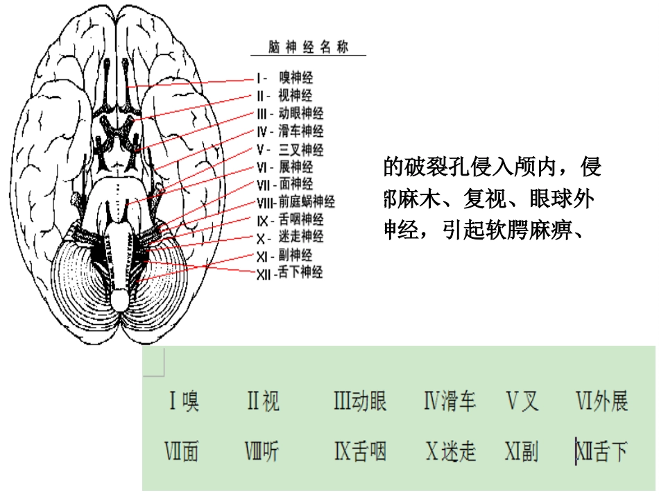鼻咽癌的放疗护理_第6页