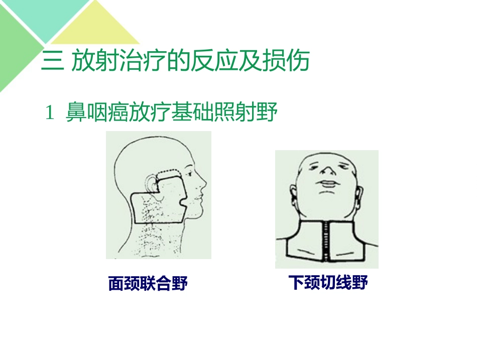 鼻咽癌的放疗护理_第8页