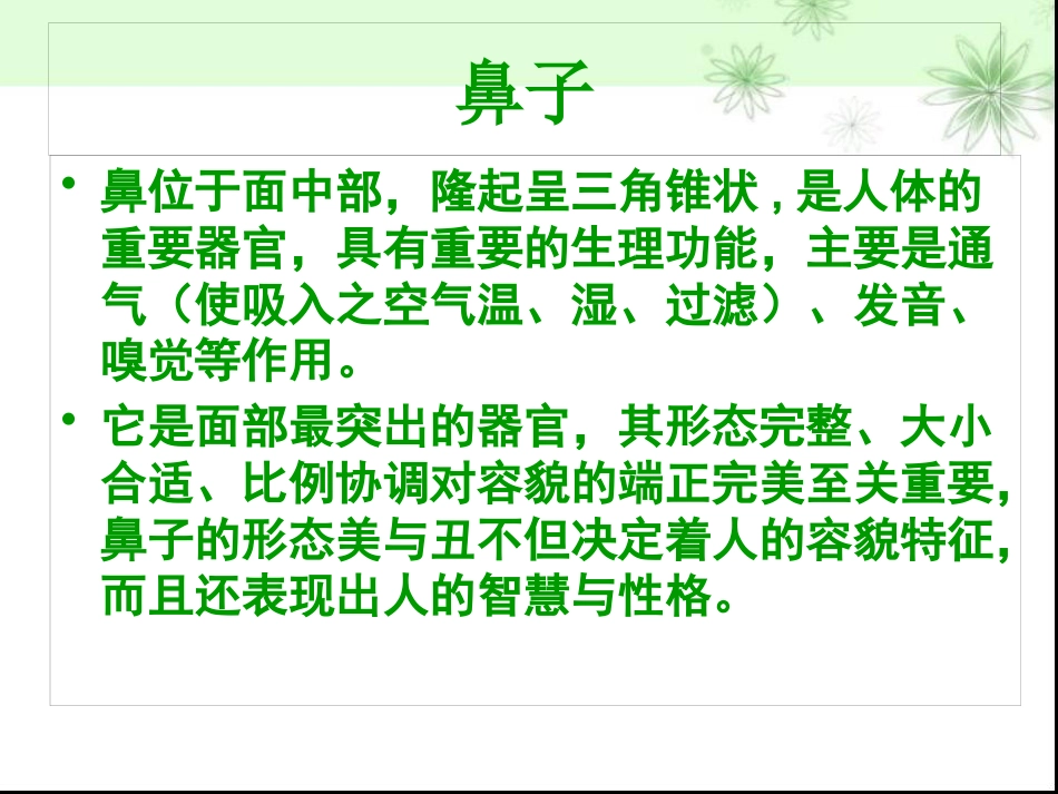 鼻部整形隆鼻术ppt课件_第2页