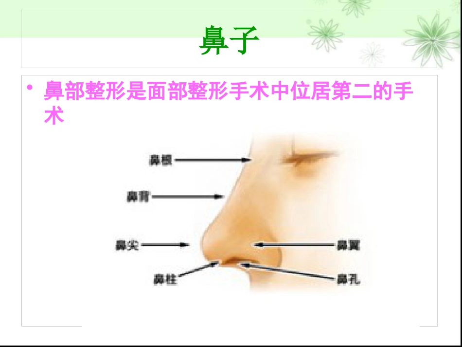 鼻部整形隆鼻术ppt课件_第3页