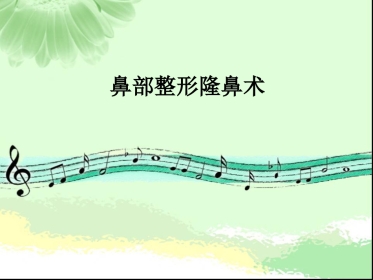 鼻部整形隆鼻术ppt课件