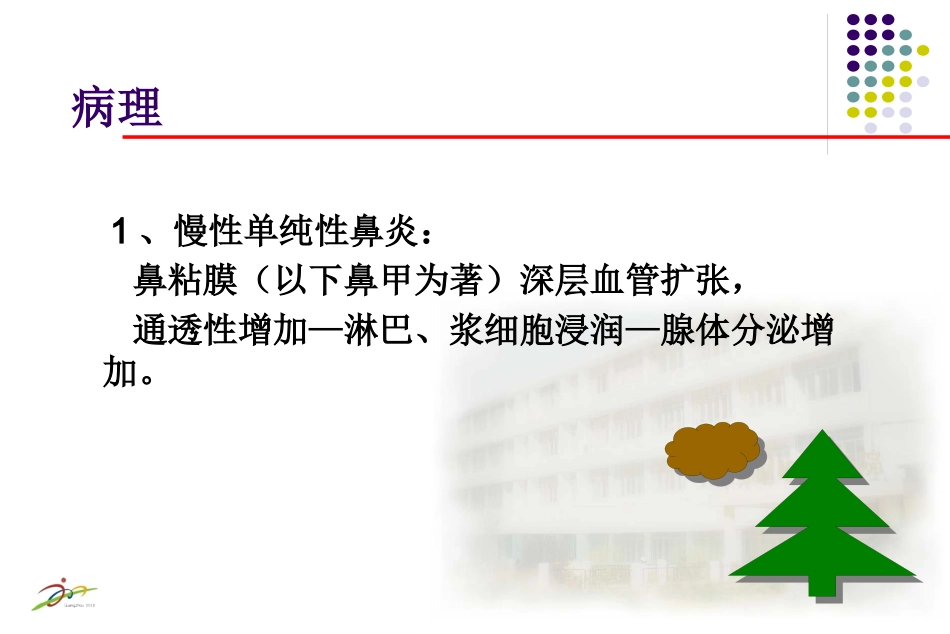 鼻炎课程课件_第15页