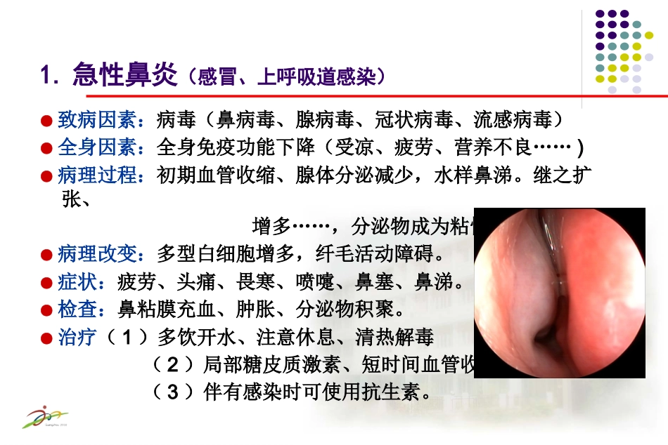 鼻炎课程课件_第3页