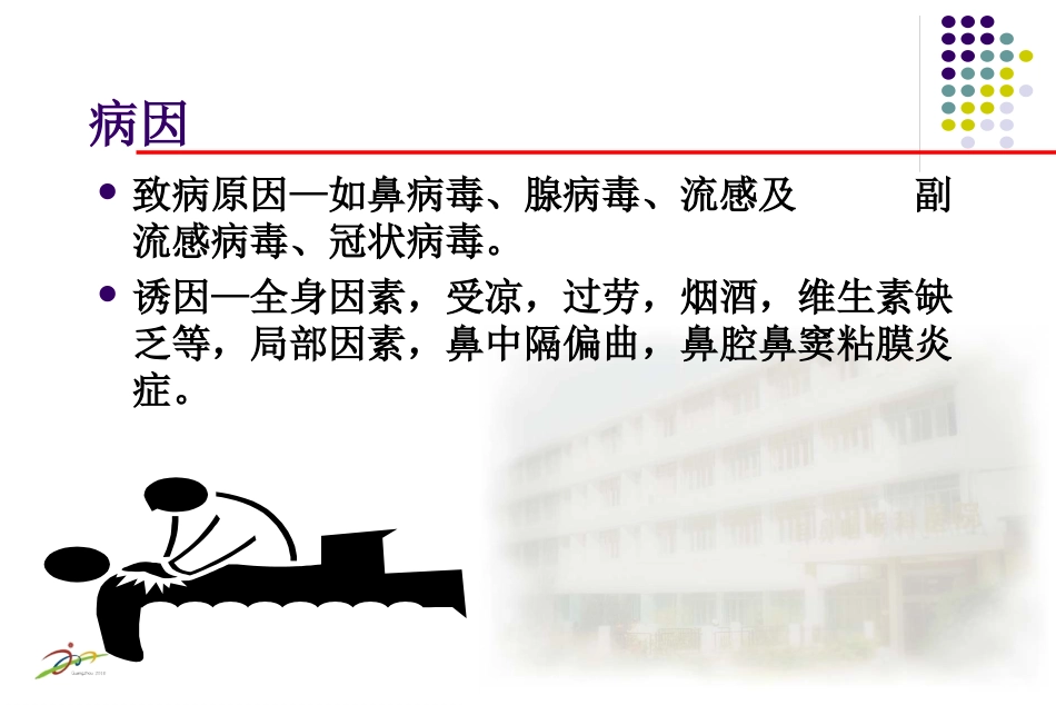 鼻炎课程课件_第5页