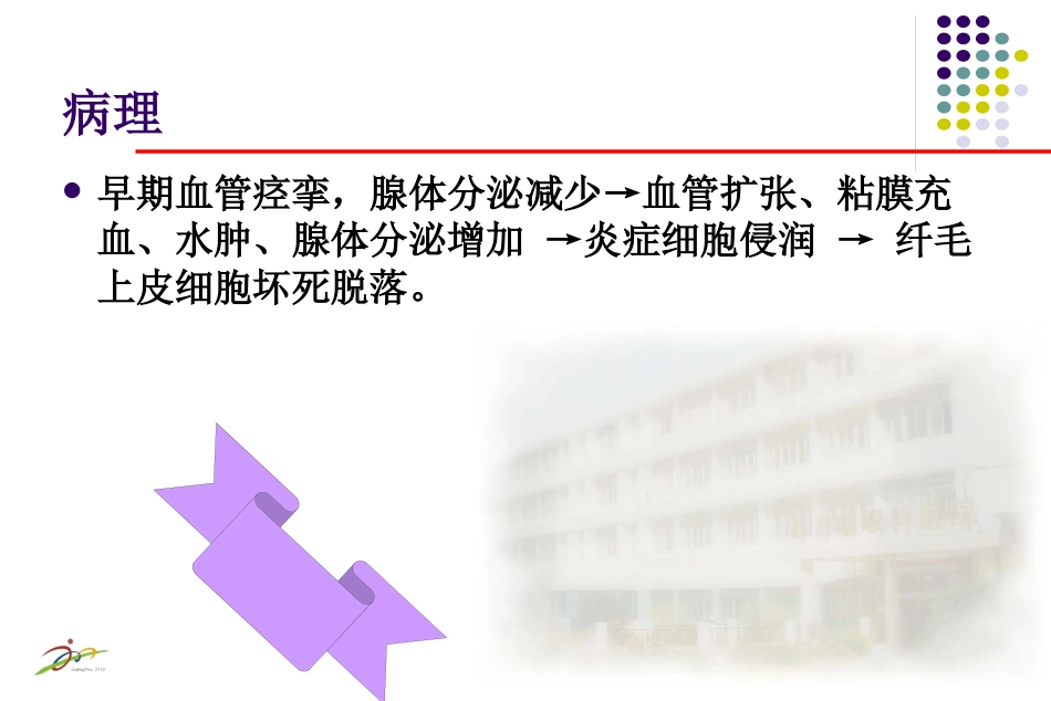 鼻炎课程课件_第6页