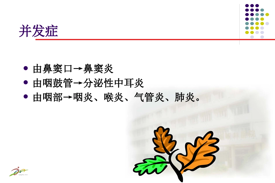 鼻炎课程课件_第9页
