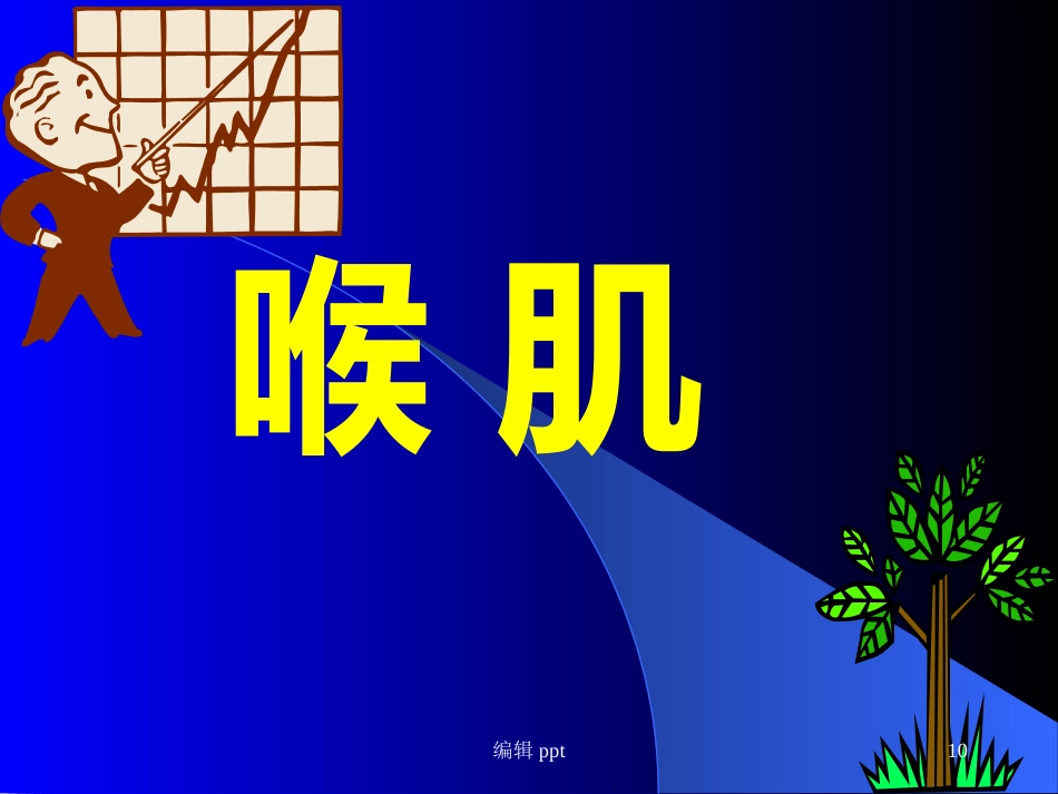 喉的解剖_第10页