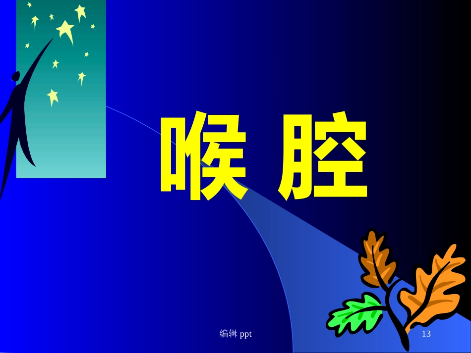 喉的解剖_第13页