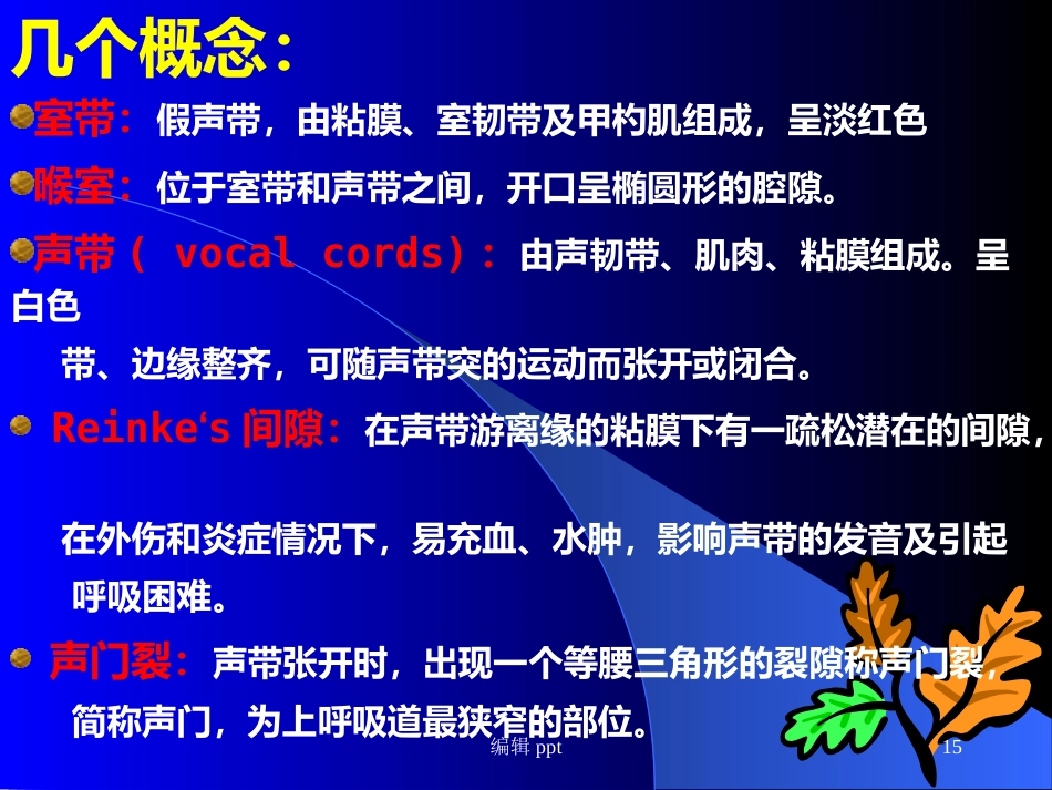 喉的解剖_第15页