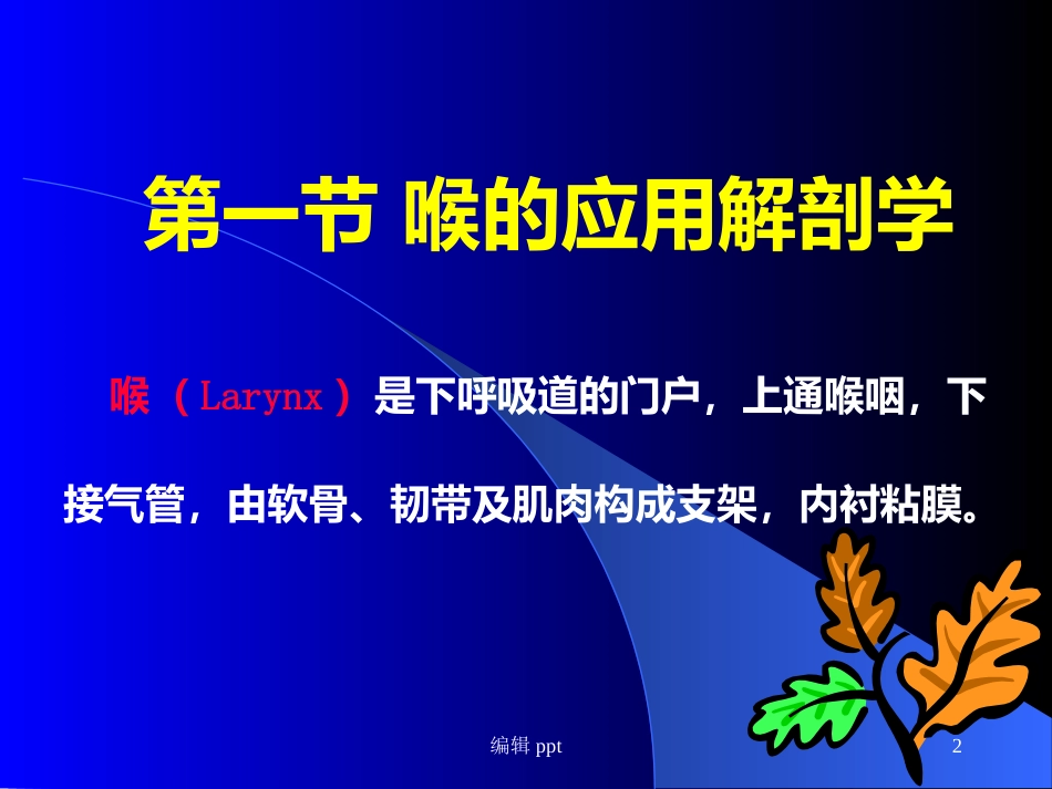 喉的解剖_第2页