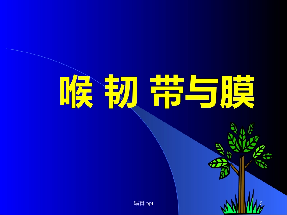 喉的解剖_第6页