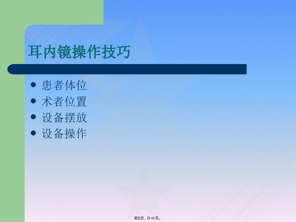 耳内镜临床应用_第5页