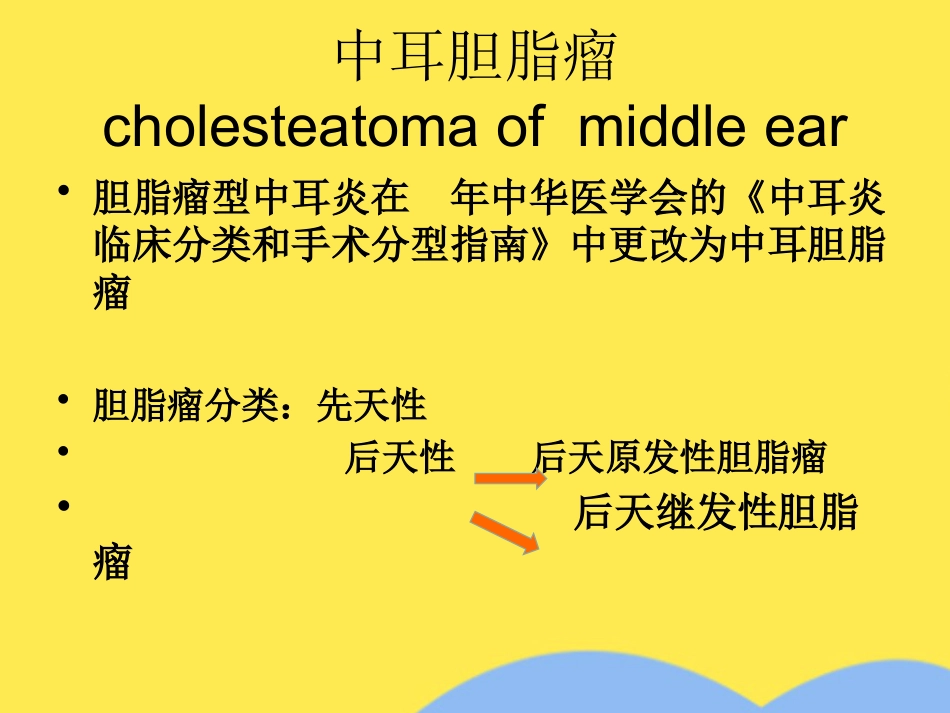 慢性中耳炎_第12页