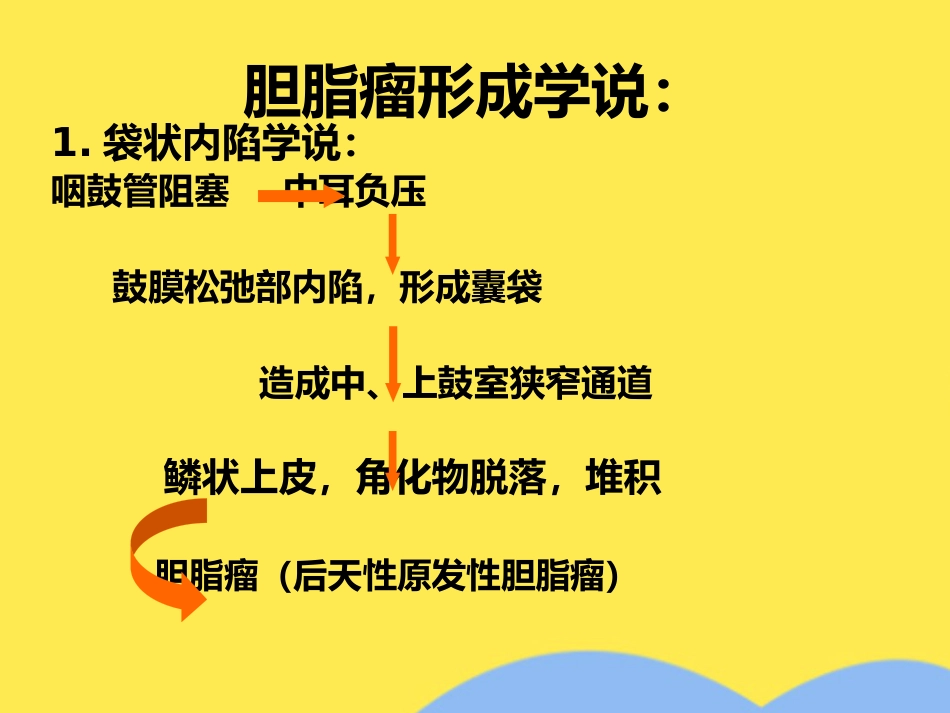 慢性中耳炎_第13页