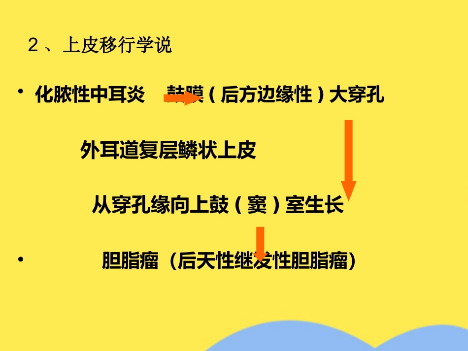 慢性中耳炎_第14页