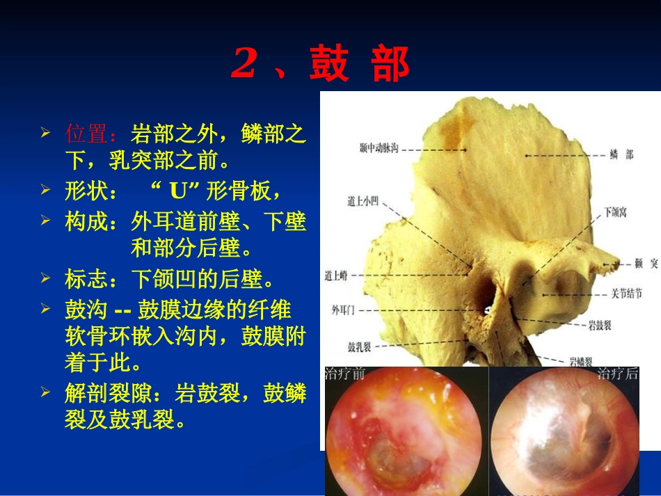 耳科解剖生理_第10页