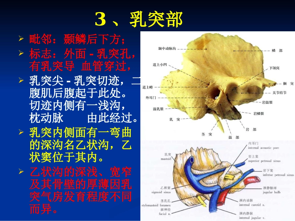 耳科解剖生理_第11页