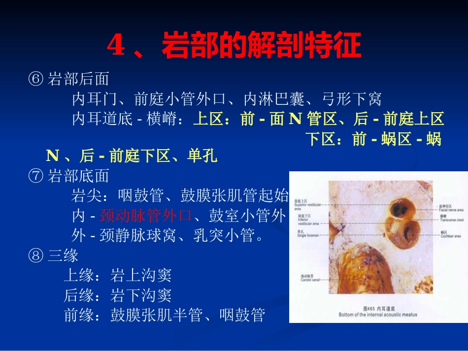 耳科解剖生理_第13页