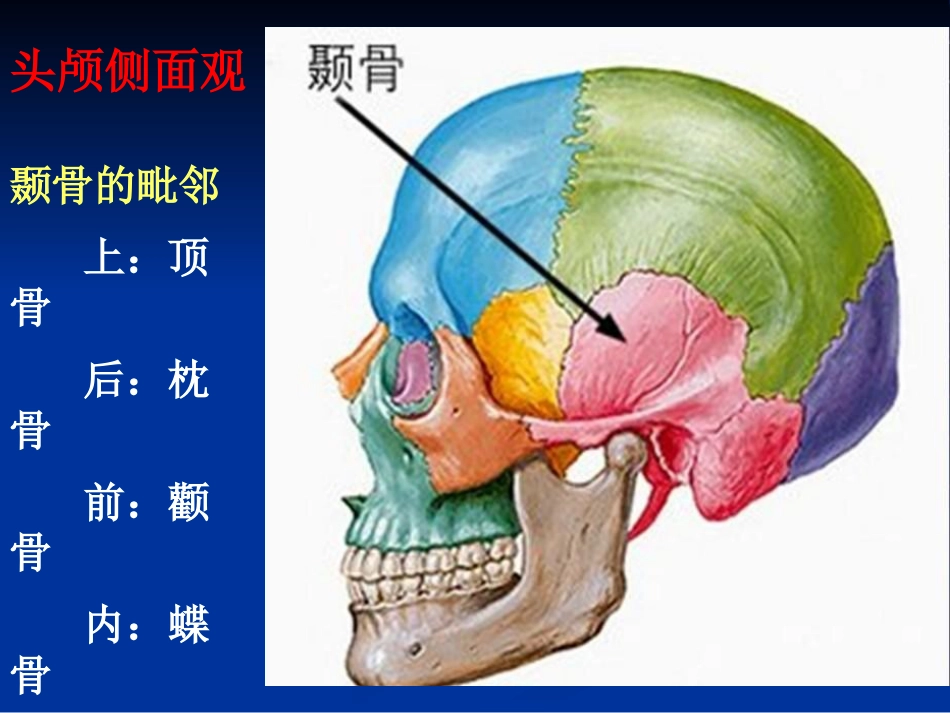 耳科解剖生理_第3页