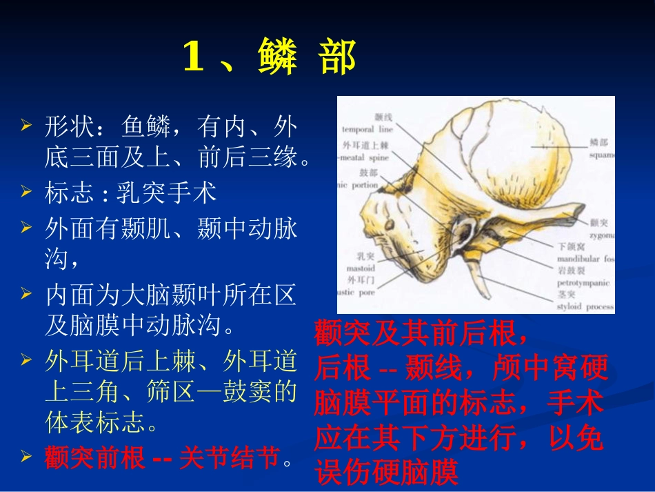 耳科解剖生理_第9页